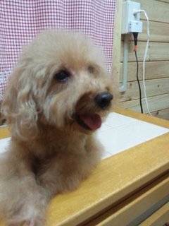 Sept_20_2011_1129.jpg